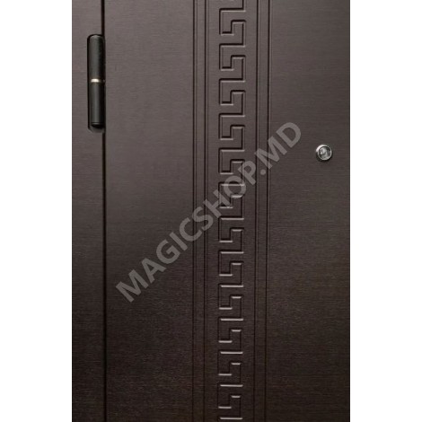 Наружная дверь DIPLOMAT 2E (2050x860x70mm)